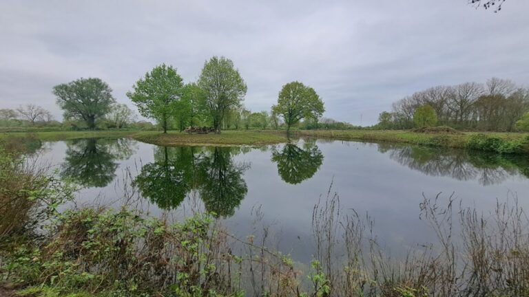 Wekelijkse wandeling voor de sportieve genieter