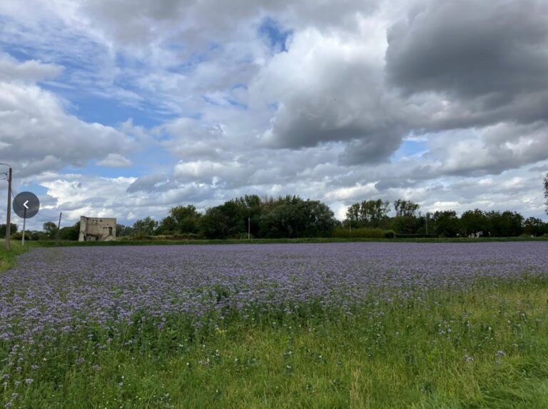 Wandelen voor genieters op donderdag