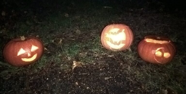 vr 24 okt 2025 – Geestig leuk: Pompoen snijden voor Halloween